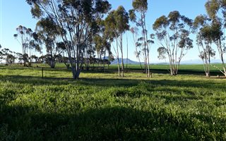 2312 m² Land available in Koringberg