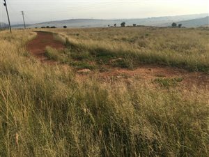 3.4 ha Smallholding in Bronkhorstbaai