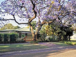 8 Bed House in Hatfield