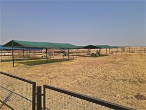 4 ha Farm in Bloemfontein