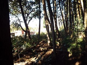 1403 m² Land available in Waterfall
