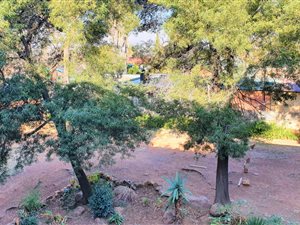 1 Bed Apartment in Dinwiddie