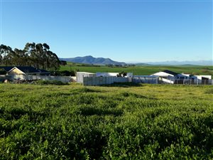 1338 m² Land available in Koringberg