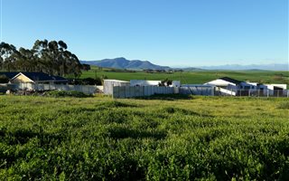 1338 m² Land available in Koringberg