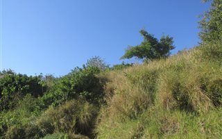 2252 m² Land available in Reservoir Hills