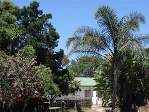 8.8 ha Farm in Kruisrivier