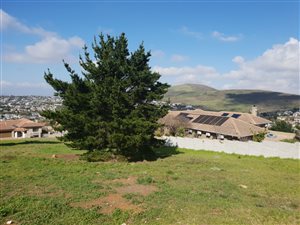 3035 m² Land available in Oude Westhof