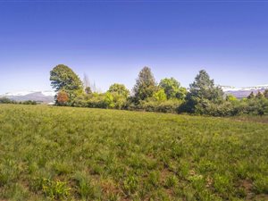 2481 m² Land available in Underberg