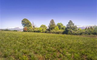 2481 m² Land available in Underberg