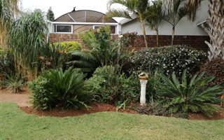 3 Bedroom House in Dorandia