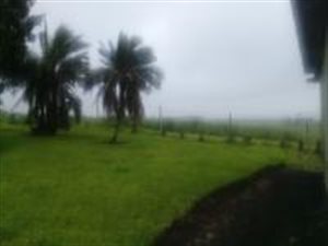 7 ha Land available in Mandini