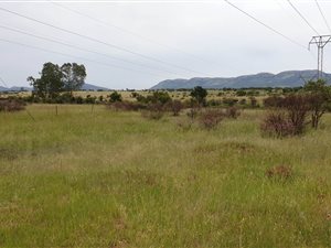 215 ha Land available in Rietfontein