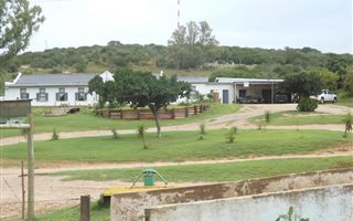 998 ha Farm in Paterson