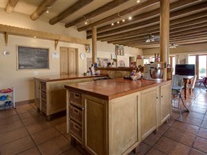 4 Bed House in Sydenham