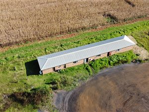 31 ha Farm in Carolina