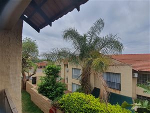 3 Bed Apartment in Azaleapark