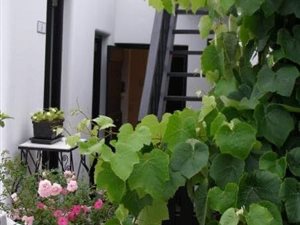 100 m² Commercial space in Plettenberg Bay