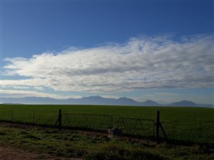 2038 m² Land available in Koringberg