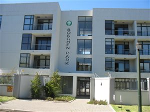 Studio Apartment in Stellenbosch Central