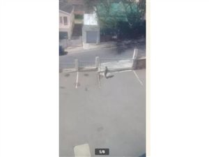 2 Bed Apartment in Morningside