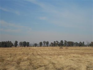 10 ha Land available in Bainsvlei
