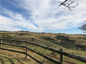 94 ha Farm in East London Central