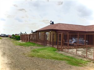 3 Bed House in Kroonstad
