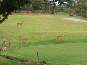 543 m² Land available in Pennington
