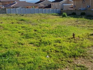 784 m² Land available in Menkenkop