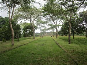 1.9 ha Land available in Crestview