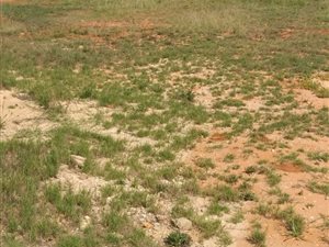 1670 m² Land available in Winterhoek Park