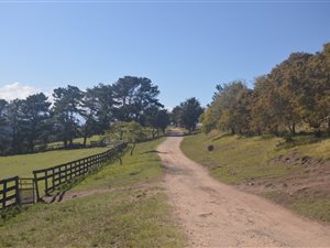13.8 ha Farm in Plettenberg Bay Rural