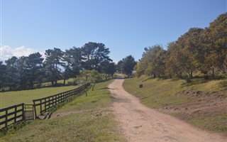 13.8 ha Farm in Plettenberg Bay