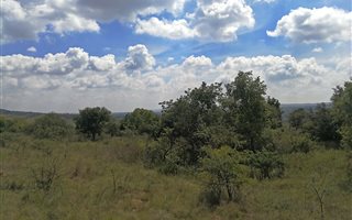 4.3 ha Land available in Tiegerpoort