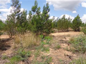 323 m² Land available in Mooikloof Country Residences