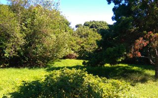 800 m² Land available in Lake Brenton