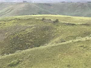 36 ha Land available in Brandwag