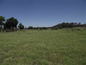 5 ha Farm in Tiegerpoort