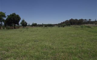 5 ha Farm in Tiegerpoort