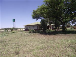 5 ha Farm in Tiegerpoort
