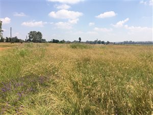 2.1 ha Land available in Walkerville