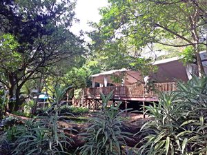 4.5 ha Farm in Camperdown