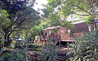 4.5 ha Farm in Camperdown