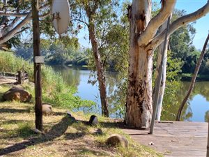 78 ha Farm in Bonnievale