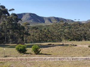 1063 m² Land available in South End