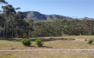 1063 m² Land available in South End