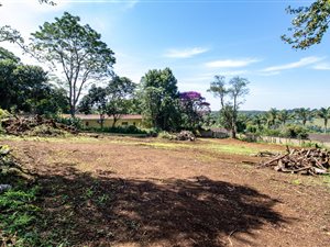 1962 m² Land available in Hillcrest Central