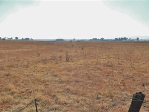 8.6 ha Land available in Nelsonia