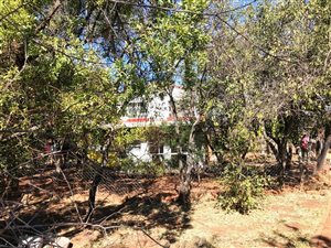 7 ha Farm in Kameelfontein and surrounds