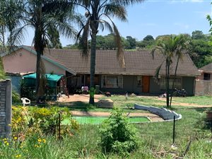 1.3 ha Farm in Rocky Drift